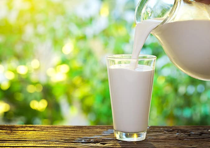 Sữa dành cho người gầy tốt nhất – Giàu chất béo tăng cân nhanh