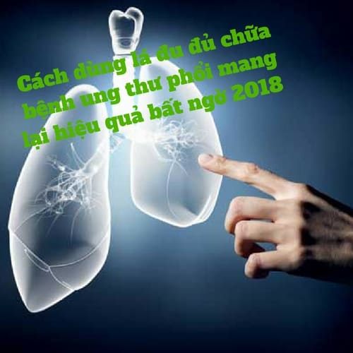 Cách dùng lá đu đủ chữa bệnh ung thư phổi