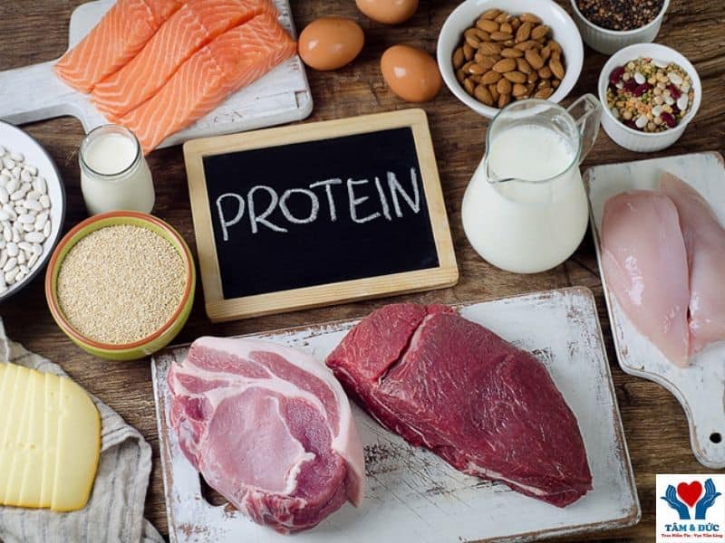 Bật Mí Cho Bạn Lượng Protein Trong Thực Phẩm Hiện Nay